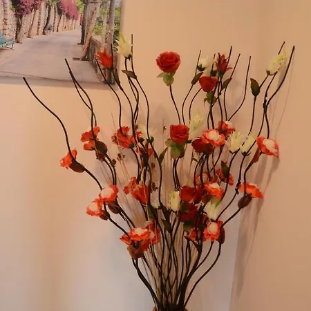 Apartamento Oasis